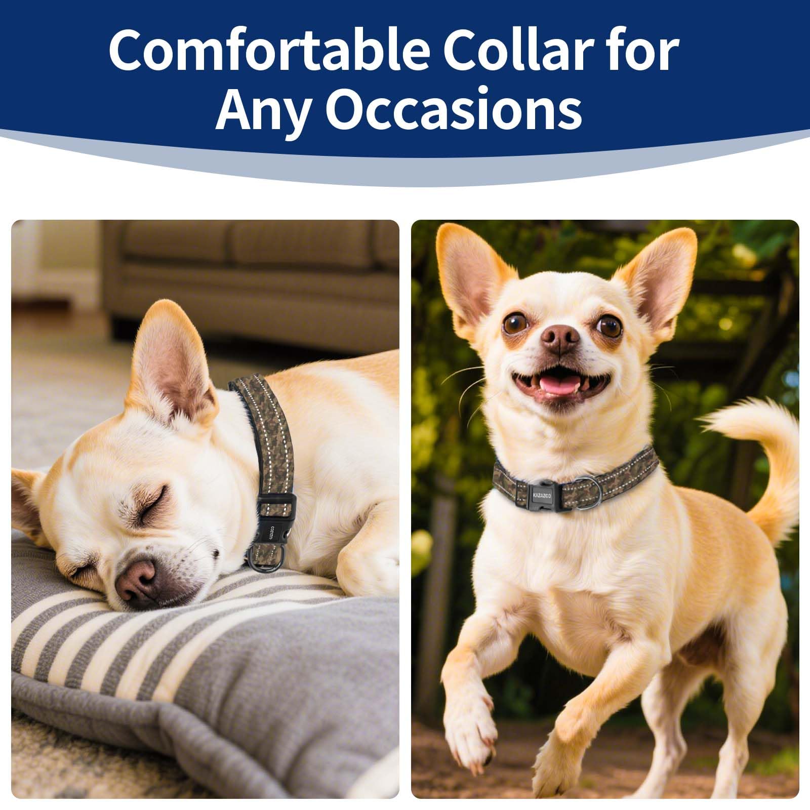 Kazazoo Reflective Collar at night highlighting reflective threads for visibility during dusk.
