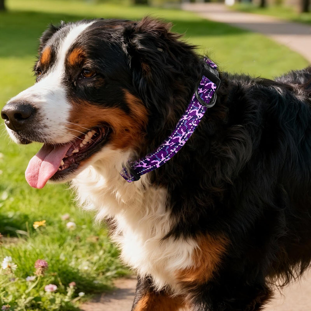 Kazazoo Reflective Dog Collar with No-Pull Front Attachment demonstrates reduced neck strain during training.