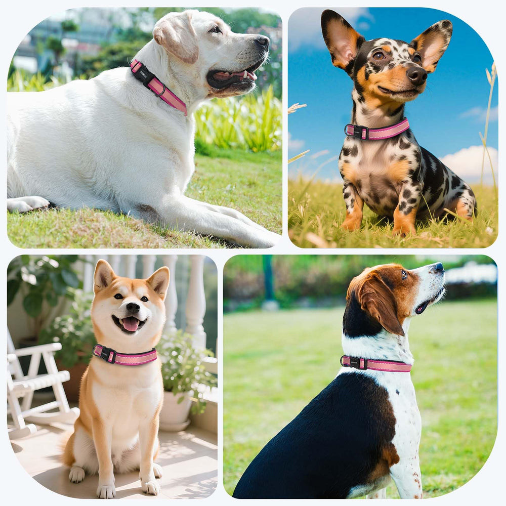 Kazazoo Stainless D-ring collar pink-l holds leashes securely.