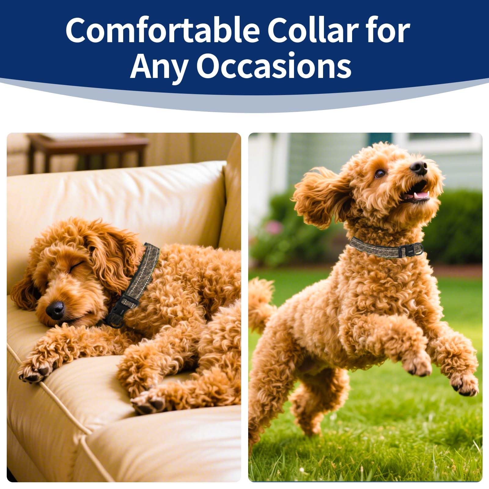 Kazazoo sturdy D-ring attachment keeps leashes secure up to 300 lbs.