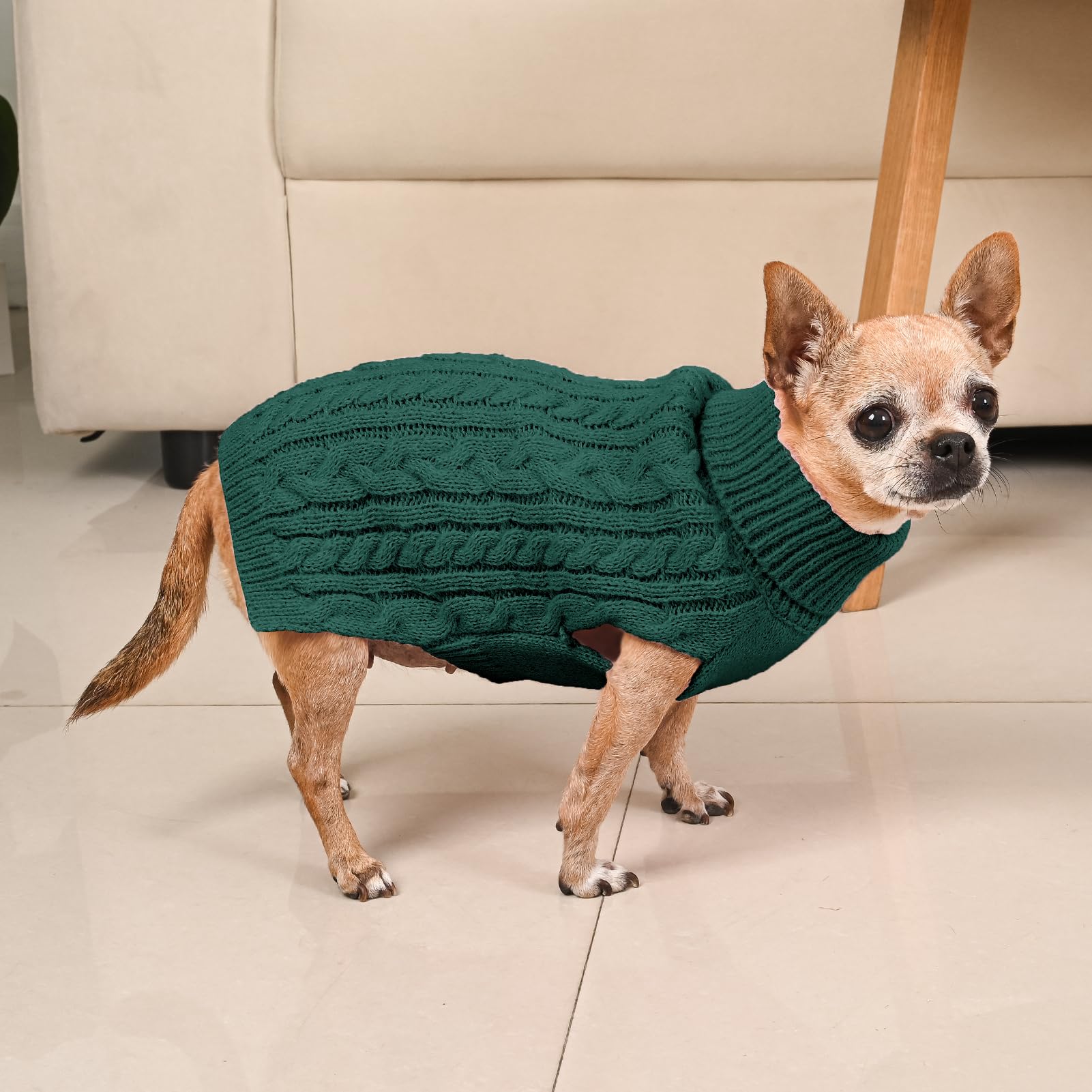 KCFESTIHUE dog sweater worn for photos, showing compact fit on tiny dogs.