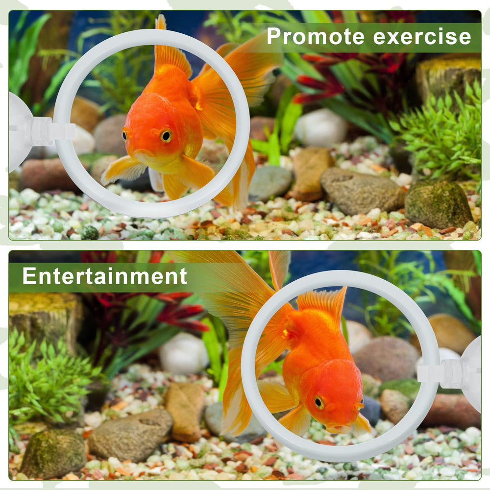 KCMOSGI Betta mirror closeup highlights reflective surface and color display benefits.