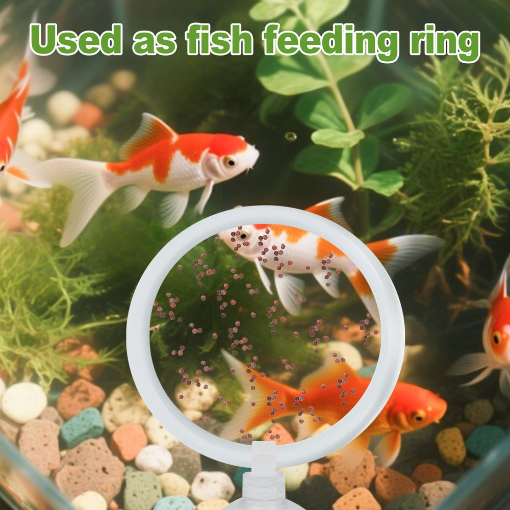 KCMOSGI Betta suction-cup attachment shows quick, secure setup in any tank.