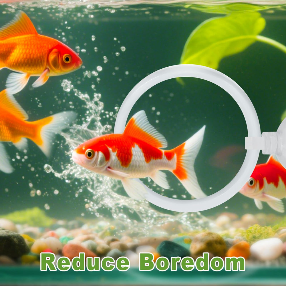 KCMOSGI Betta tank enrichment scene illustrates playful activity and color pop.