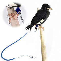 Kcrygogo ankle ring size 2 fits medium birds for comfortable training.