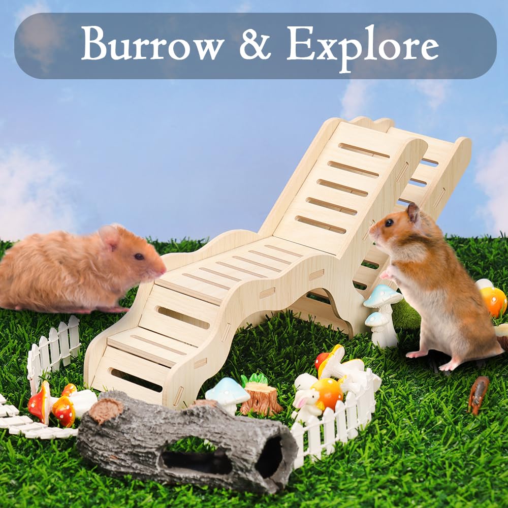 Kcrygogo hamster explorer chew-safe edges highlight safe chewing and pet safety