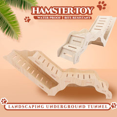 Kcrygogo hamster explorer underground viewer lets you observe burrowing from above