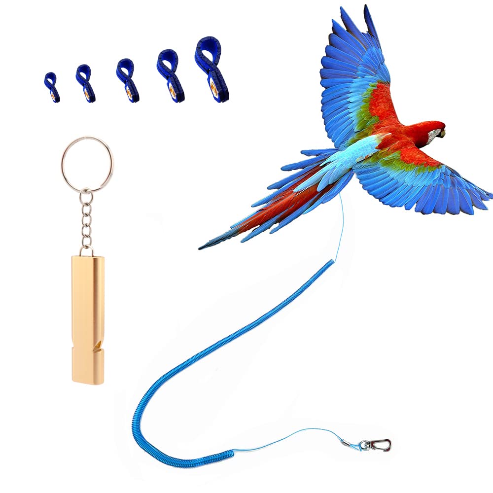 Kcrygogo parrot harness outdoor blue enables safe outdoor exploration.