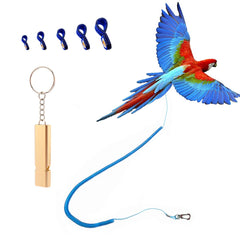 Kcrygogo parrot harness outdoor blue enables safe outdoor exploration.