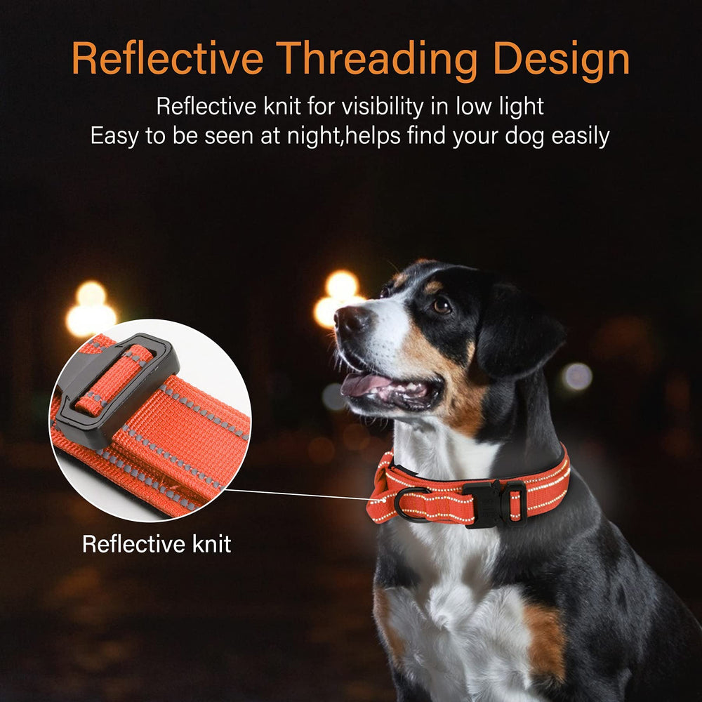 KCUCOP collar showing reflective stitching for low-light safety