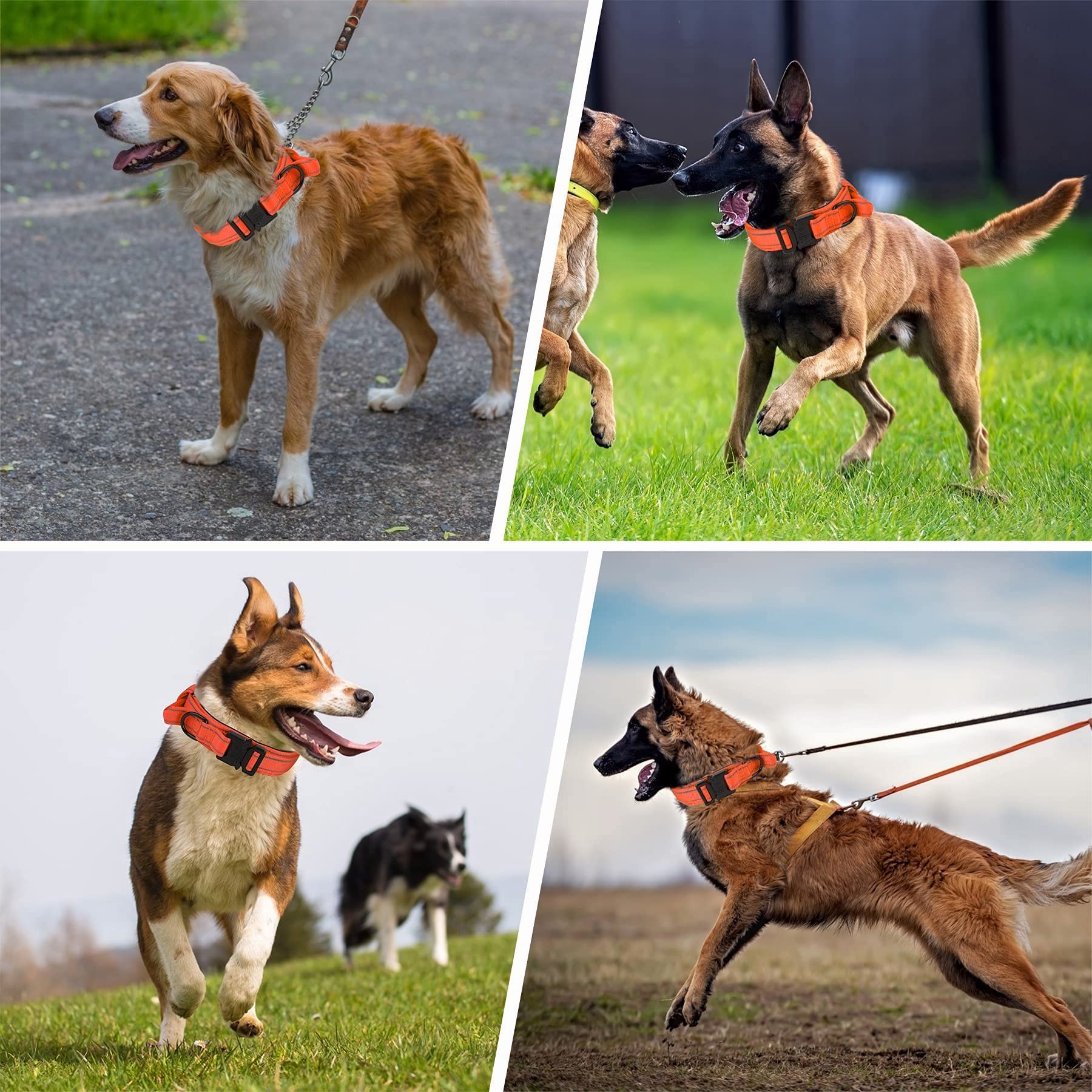 KCUCOP collar suited for medium to large breeds like German Shepherds