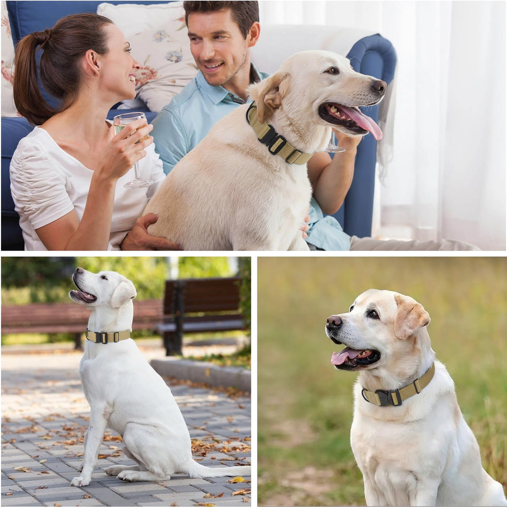 KCUCOP nylon collar shows two D-rings for leash and ID tag attachment.