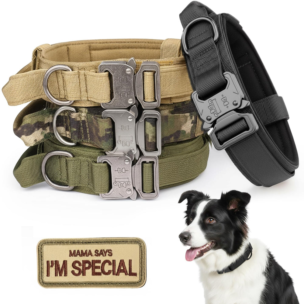 KCUCOP tactical dog collar with handle close-up for quick control.