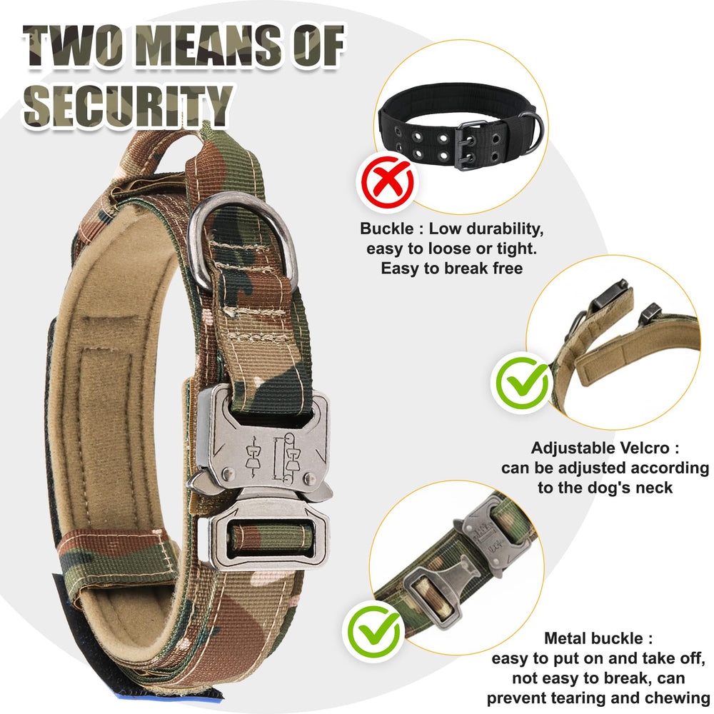 KCUCOP tactical collar on large dog during hike shows comfort and fit