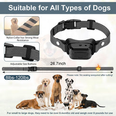 KDSZJDV citronella collar remote control illustrating four training modes.