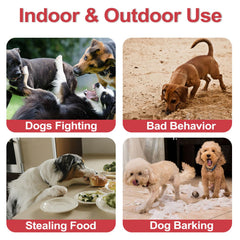 KDSZJDV Corrector safety label and instructions emphasize humane training.