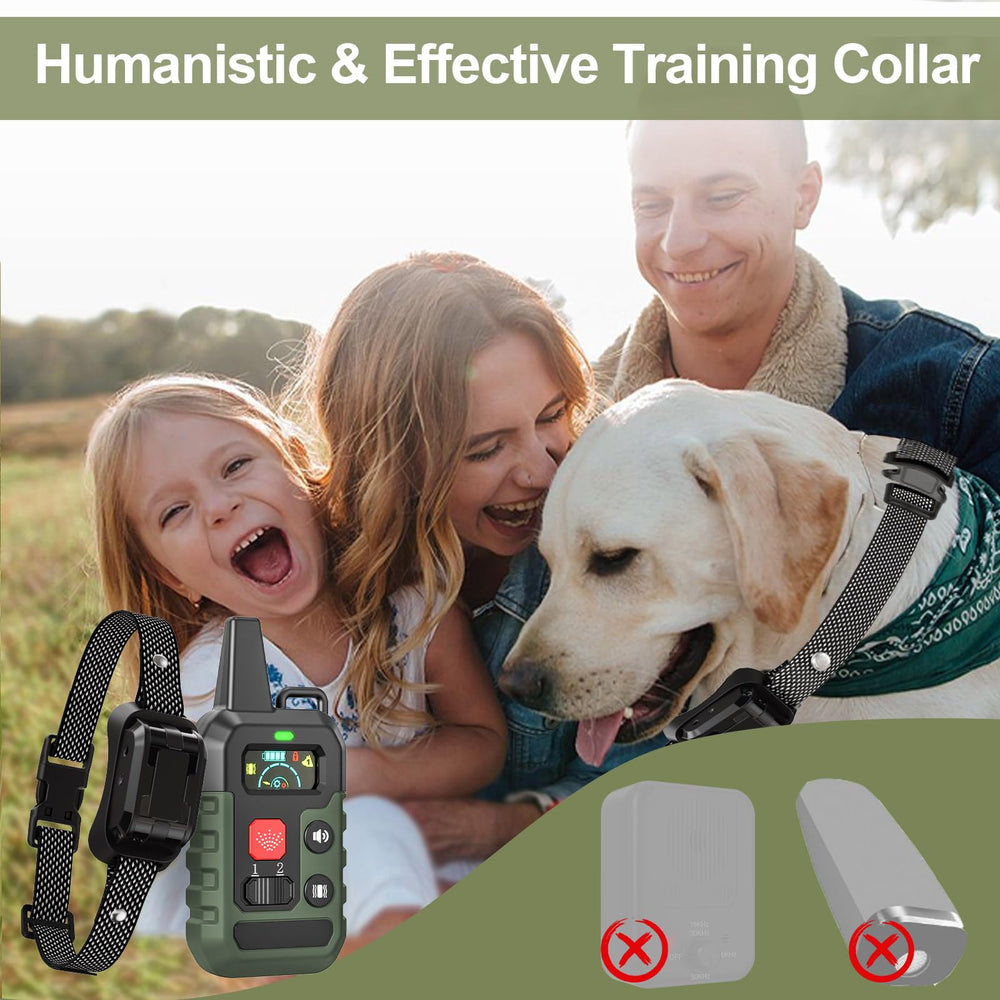 KDSZJDV dog training in action demonstrates safe, humane correction