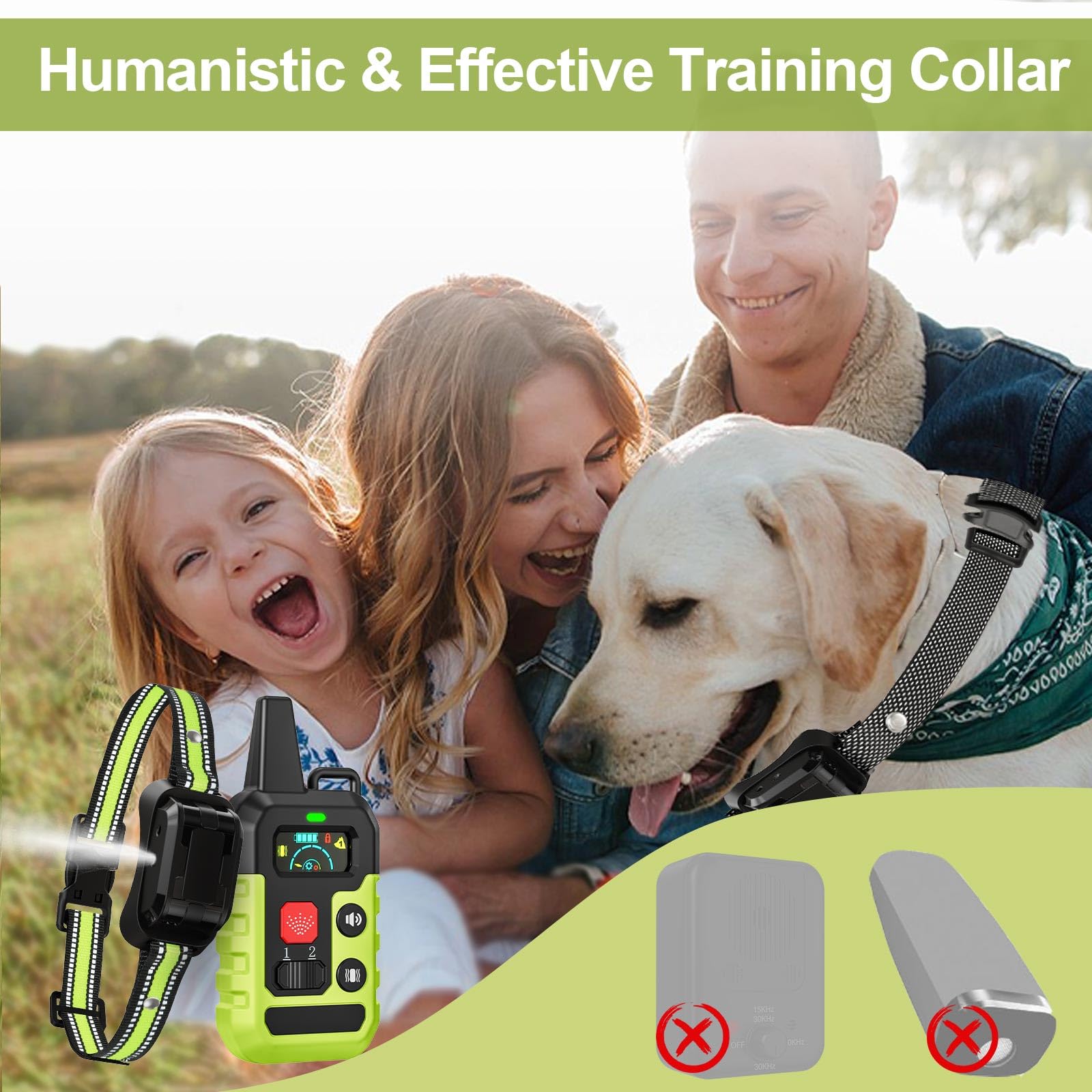 KDSZJDV Dog wearing citronella collar during calm training session.
