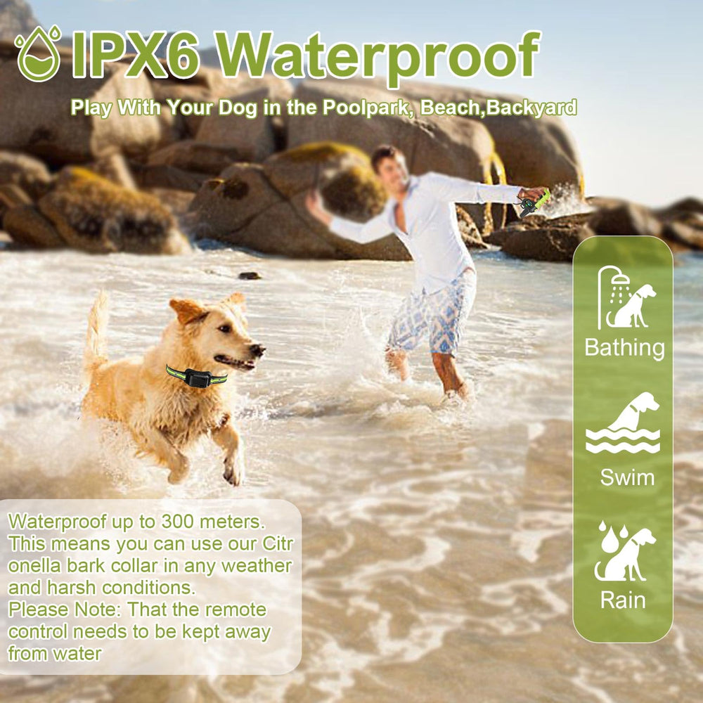 KDSZJDV IPX7 waterproof rating on collar, ready for rain.