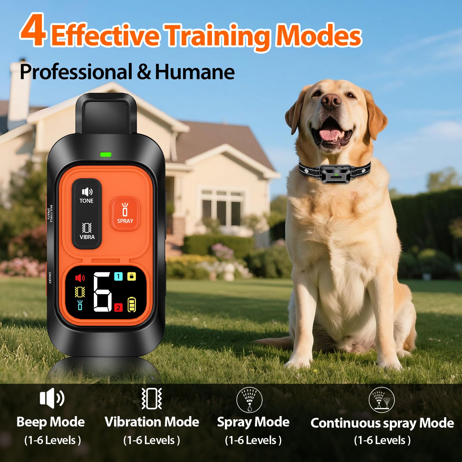 KDSZJDV remote control setup shown for two-channel training across two dogs.