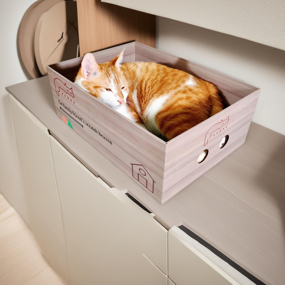KEBKE cat-scratcher-cardboard-box: cozy hidden box for cats to observe and rest.