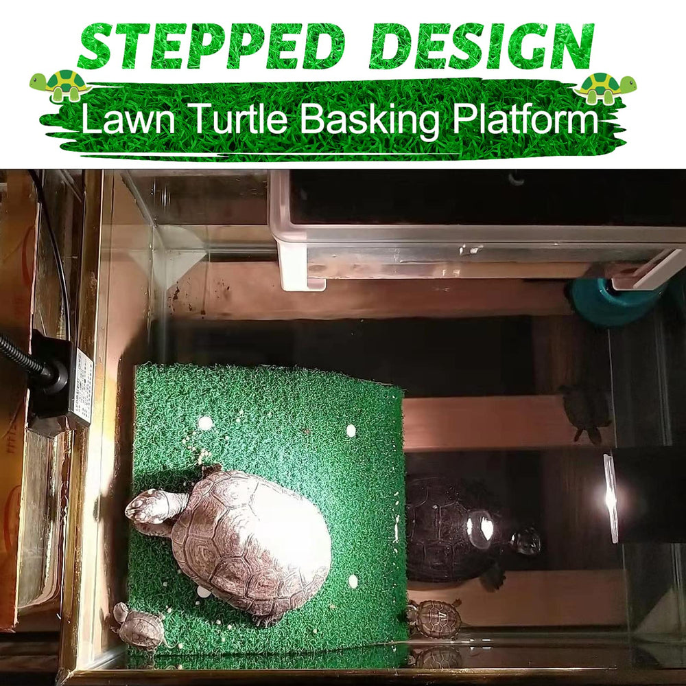 Keedolla basking setup offers a comfortable habitat for turtles and amphibians.