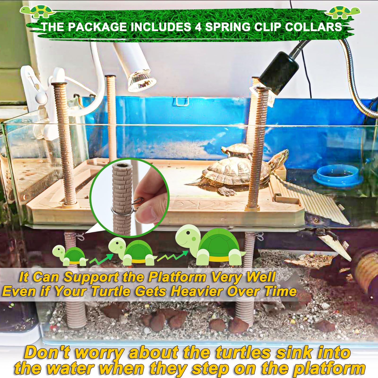 Keedolla dry sunbathing area provides a warm, safe spot for daily basking.