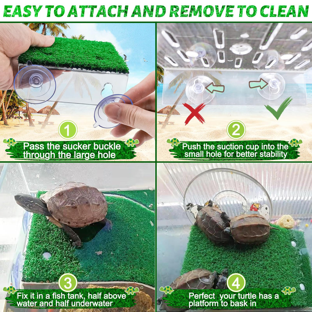 Keedolla removable platform design simplifies cleaning and tank maintenance