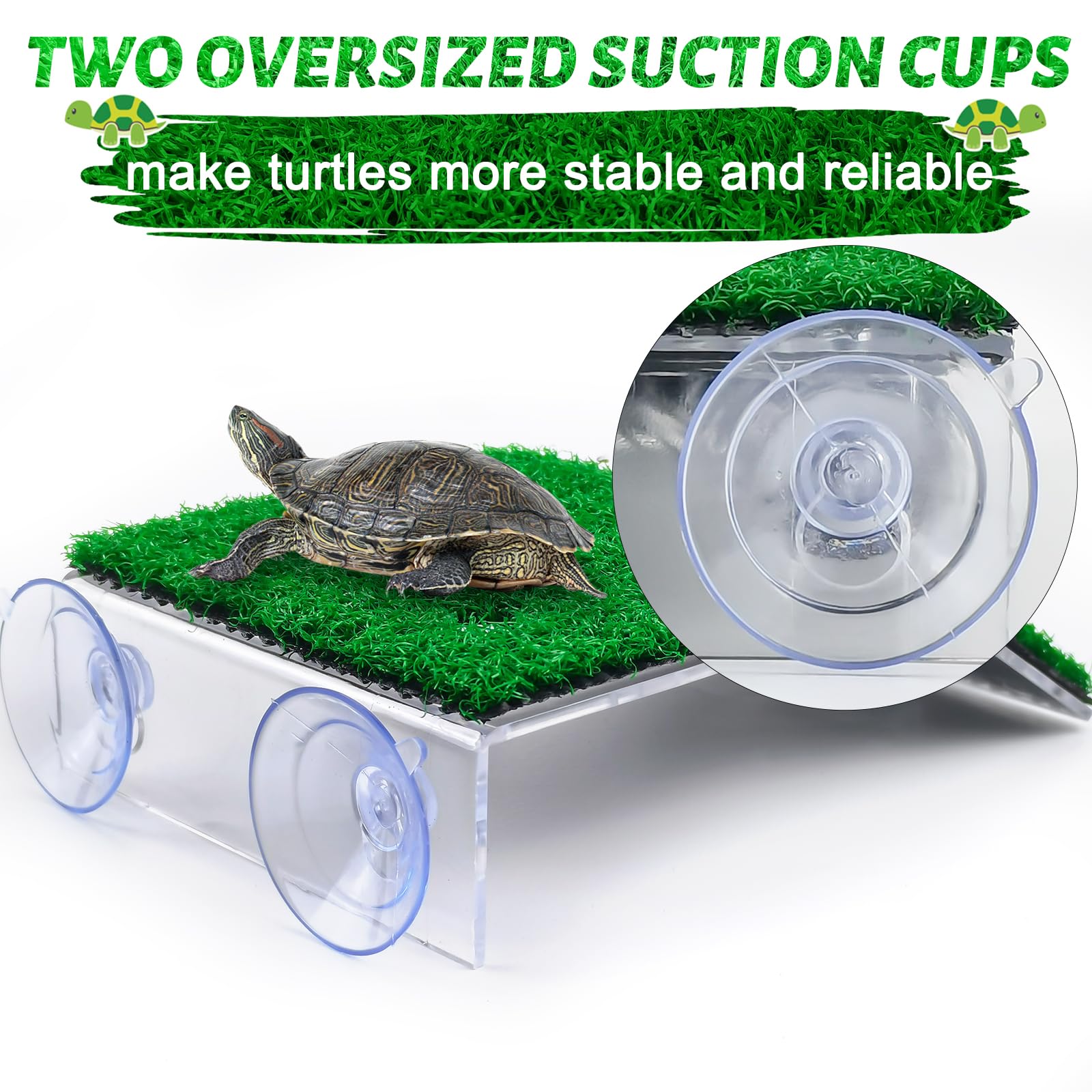 Keedolla turtle suction cups keep the platform firmly in place.
