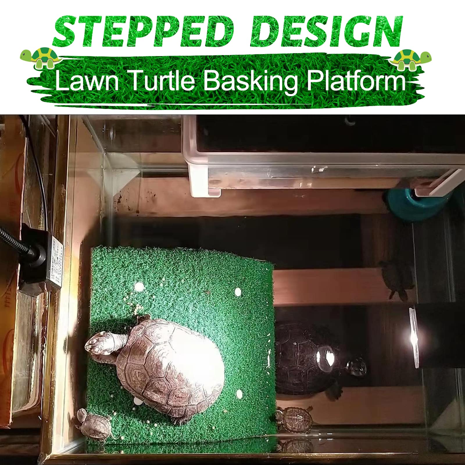 Keedolla wide flat basking surface ideal for turtles and similar pets