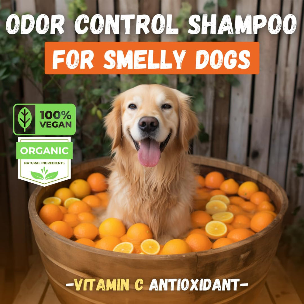 KELEBS dog shampoo bar citrus scent close-up suggests refreshing fragrance for clean coats.