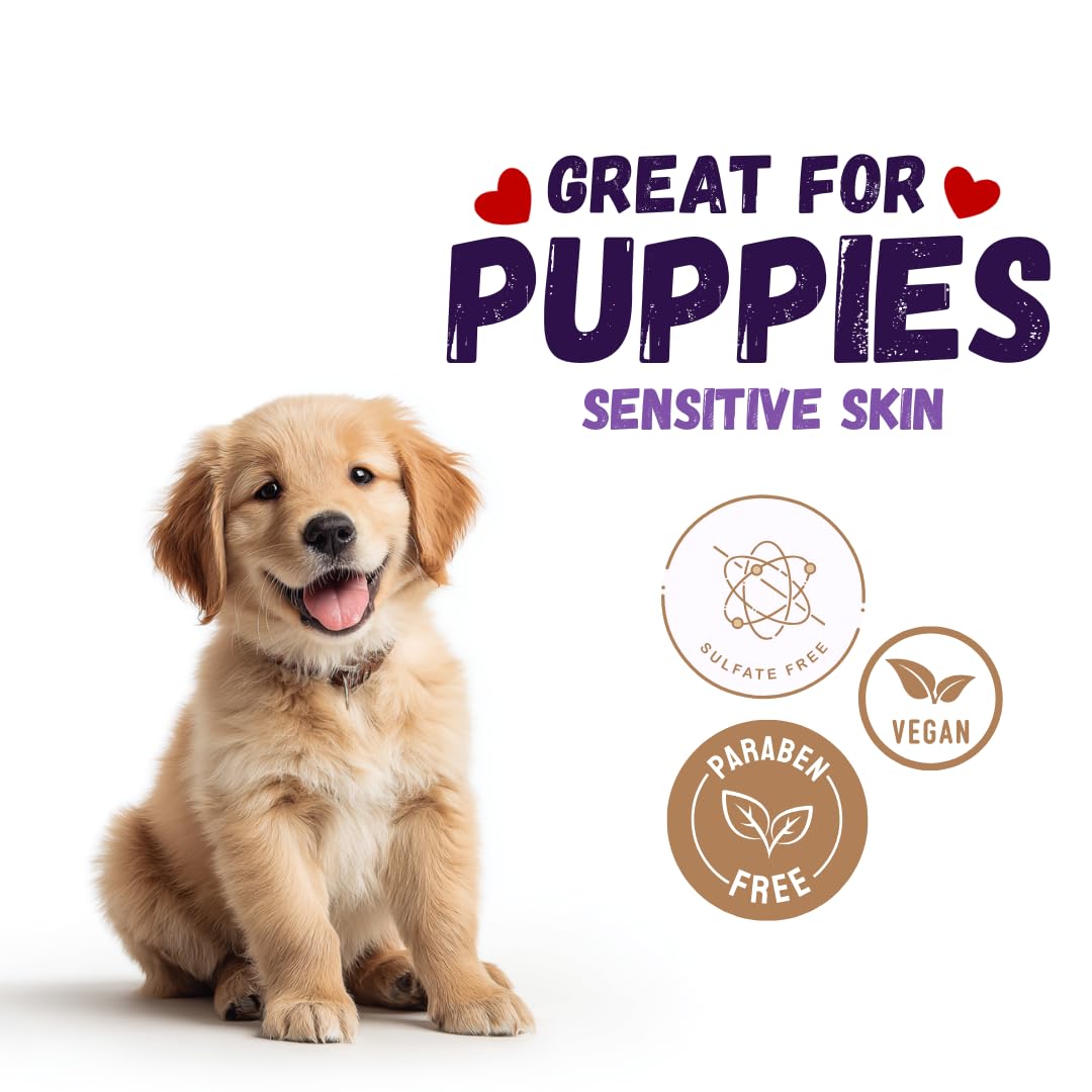 KELEBS dog shampoo bar after-bath coat shine and softness on a healthy-looking fur.