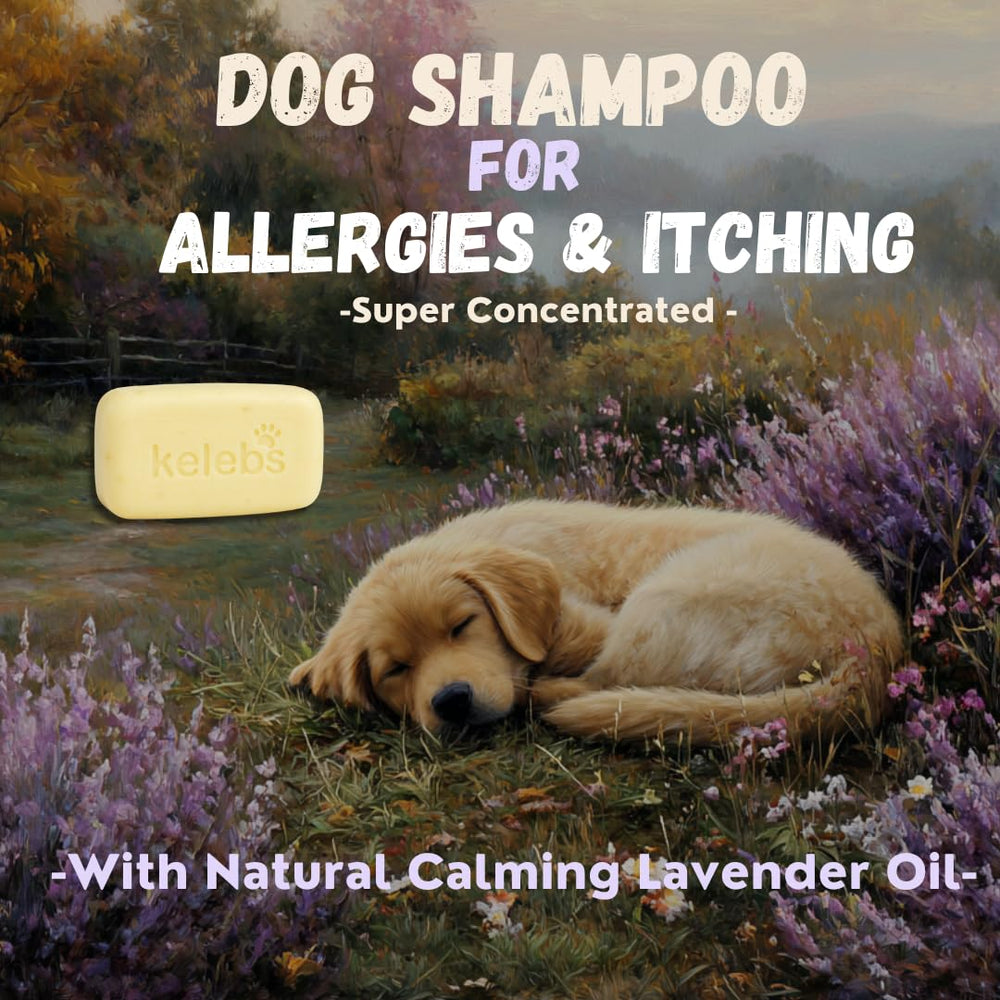 KELEBS dog shampoo bar oatmeal ingredient view emphasizes gentle moisture for sensitive skin.