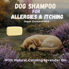 KELEBS dog shampoo bar oatmeal ingredient view emphasizes gentle moisture for sensitive skin.