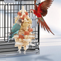 kencunay loofah-slices provide textured surfaces for playful gnawing and exploration.