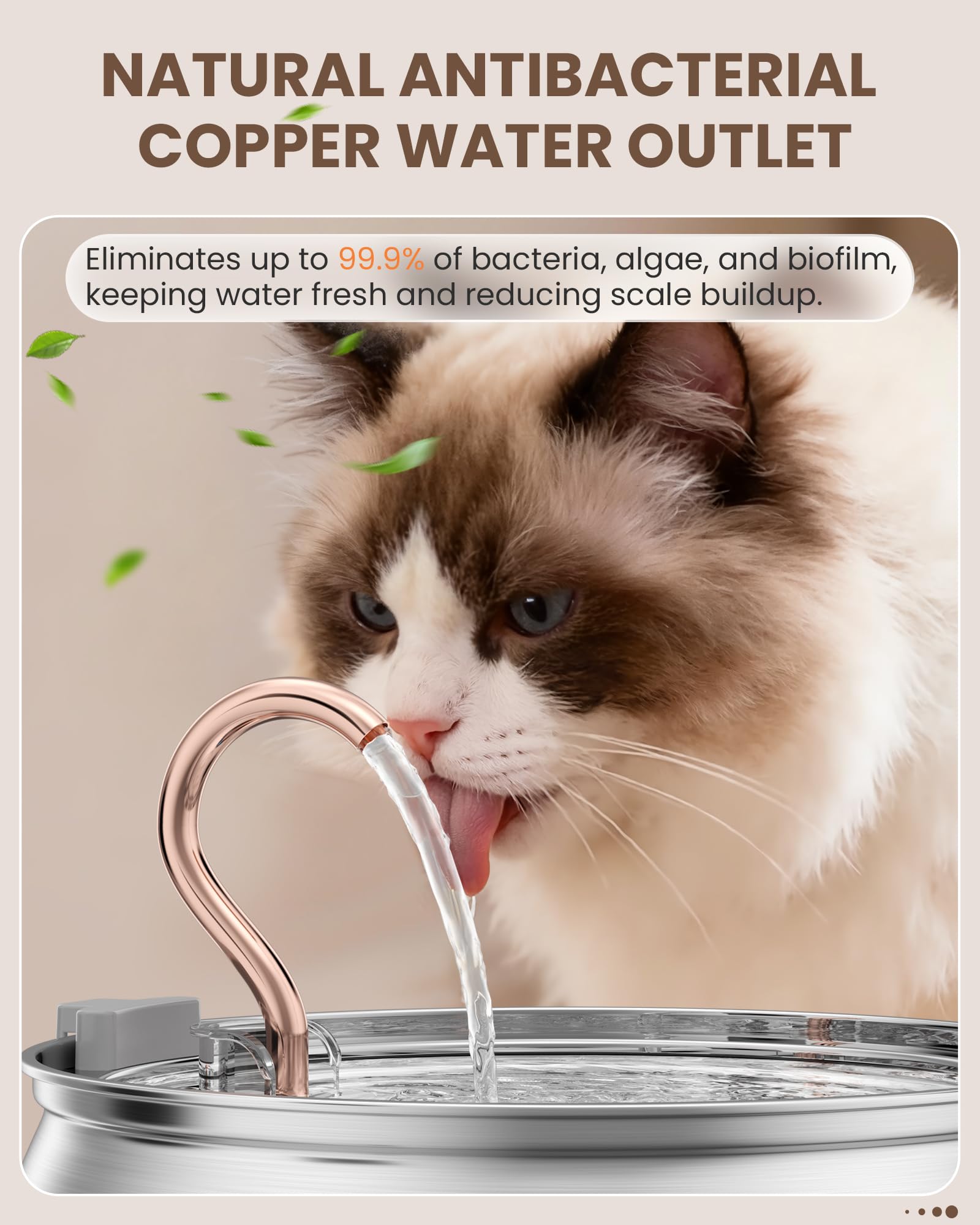 Kenida includes three replacement filters for ongoing freshness