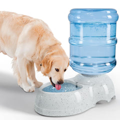 Kenond 3-gallon water-dispenser-station provides long-interval hydration for large dogs at home.