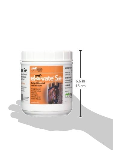 Kentucky Performance Prod Elevate Se being sprinkled into horse ration during feeding