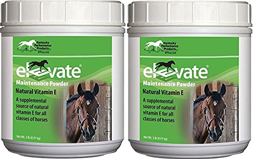 Kentucky Performance Products Elevate bottle front showing natural vitamin E support for horses.