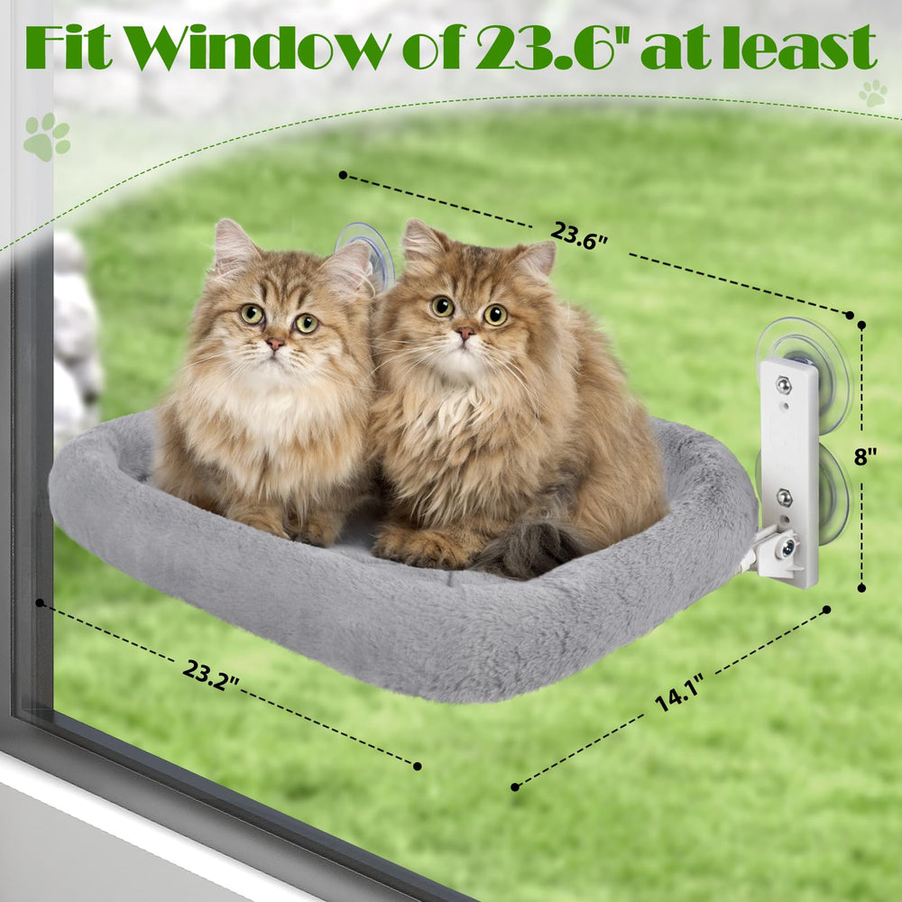 keny cat window perch sunbathing spot for warmth and relaxation