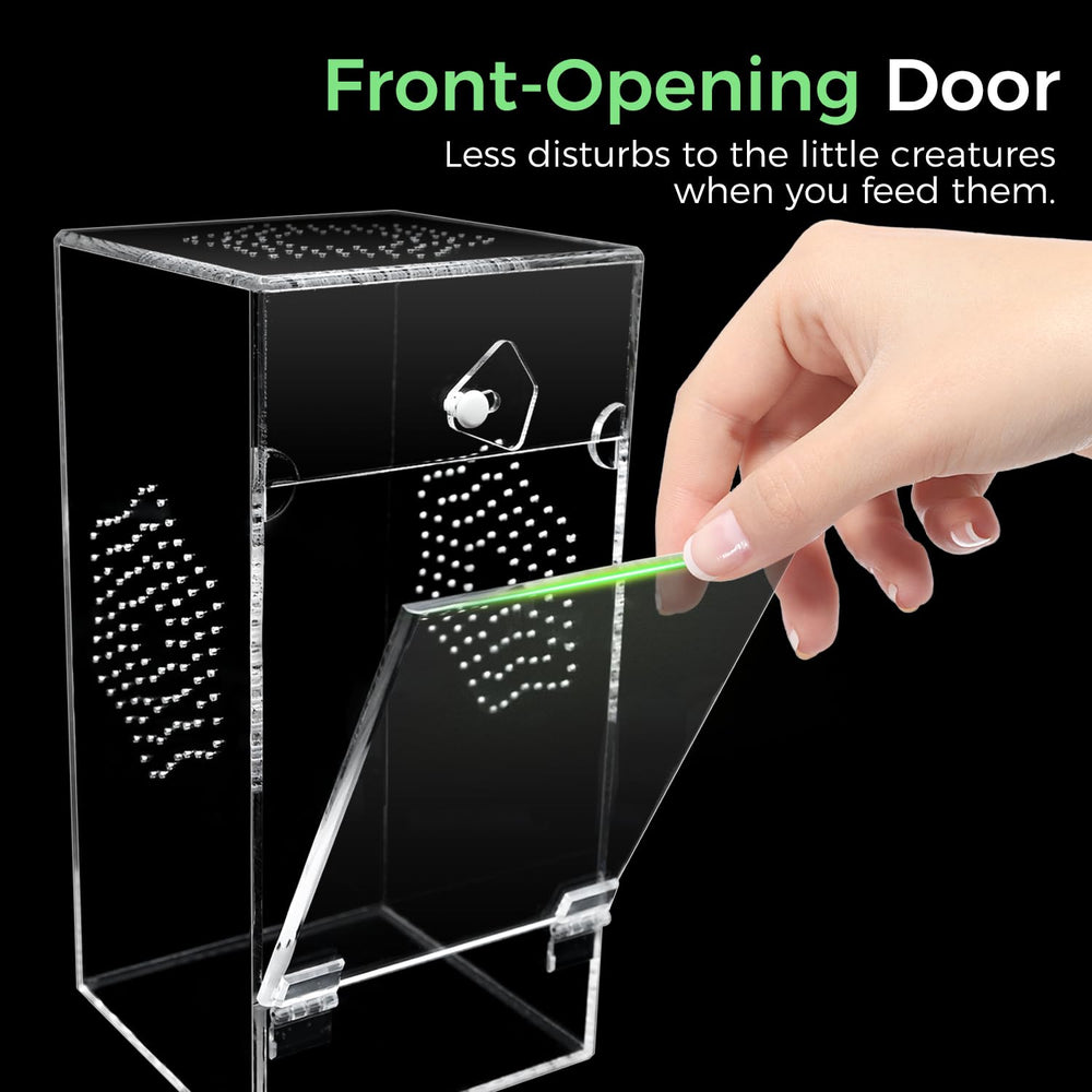 KERRLOTTE acrylic jumping spider enclosure 360 view showcases behavior from every angle with safety.