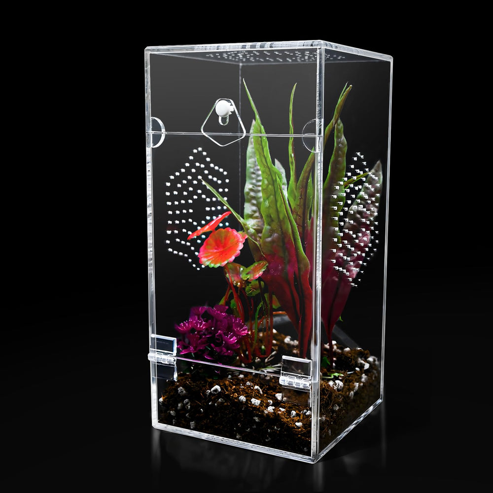 KERRLOTTE acrylic jumping spider enclosure front view offers a clear, escape-proof observation space.