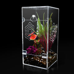KERRLOTTE acrylic jumping spider enclosure front view offers a clear, escape-proof observation space.