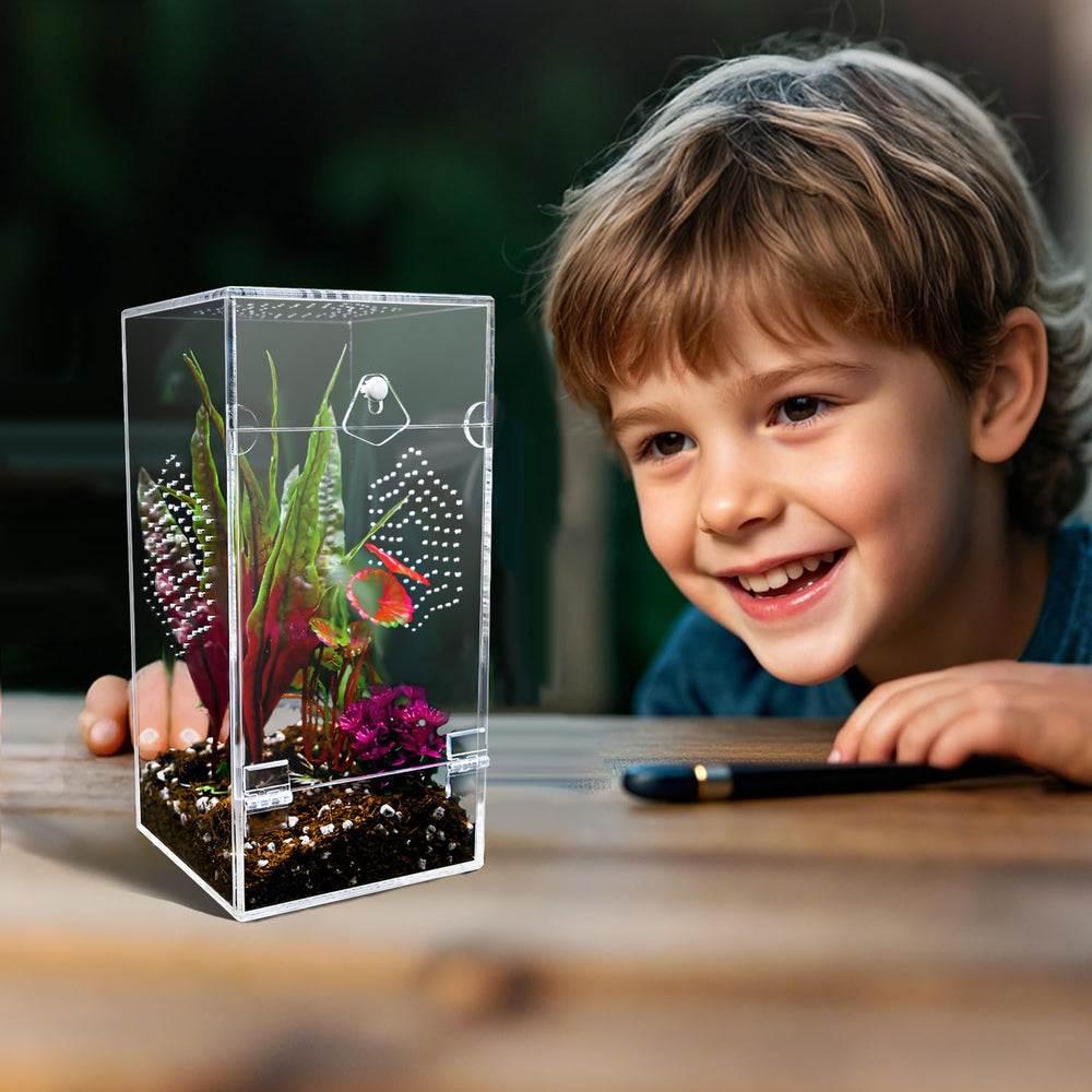 KERRLOTTE hermit crab safe habitat visualizes shell-transition care.