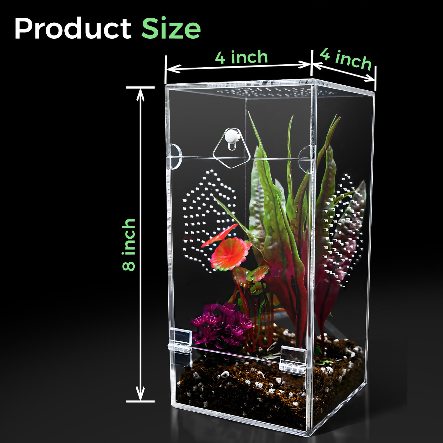 KERRLOTTE spider molt observation enclosure supports calm molt monitoring.