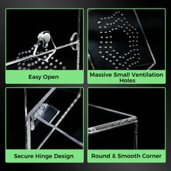 KERRLOTTE ventilation mesh habitat highlights precise airflow and humidity control for tropical species.
