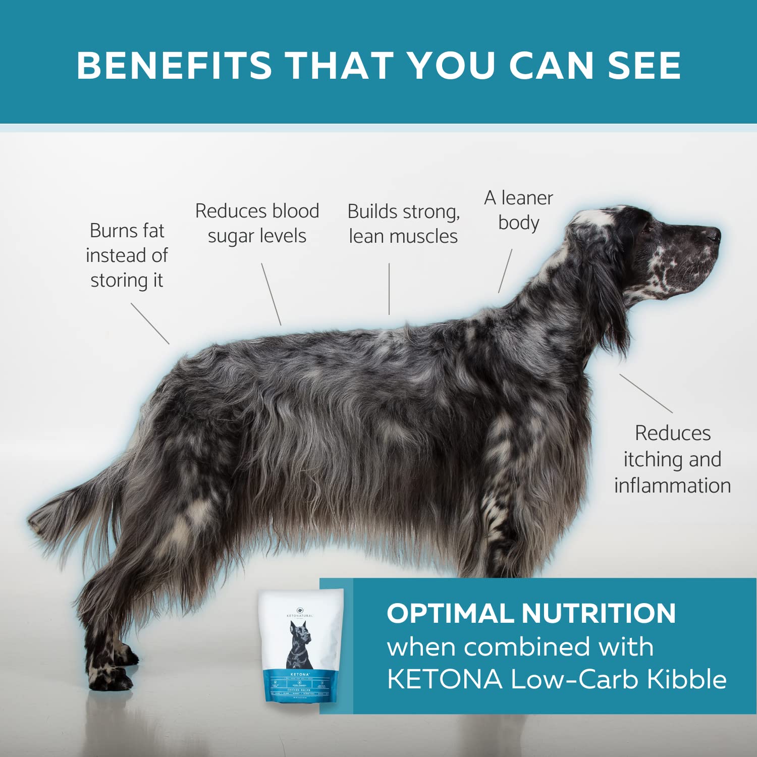 Ketona bites in hand ready as a tasty training reward during practice
