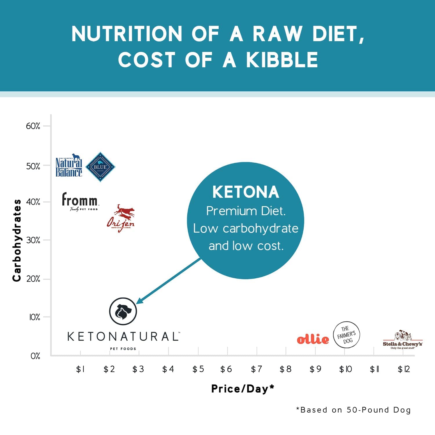 Ketona dog-diet benefits for daily feeding options.