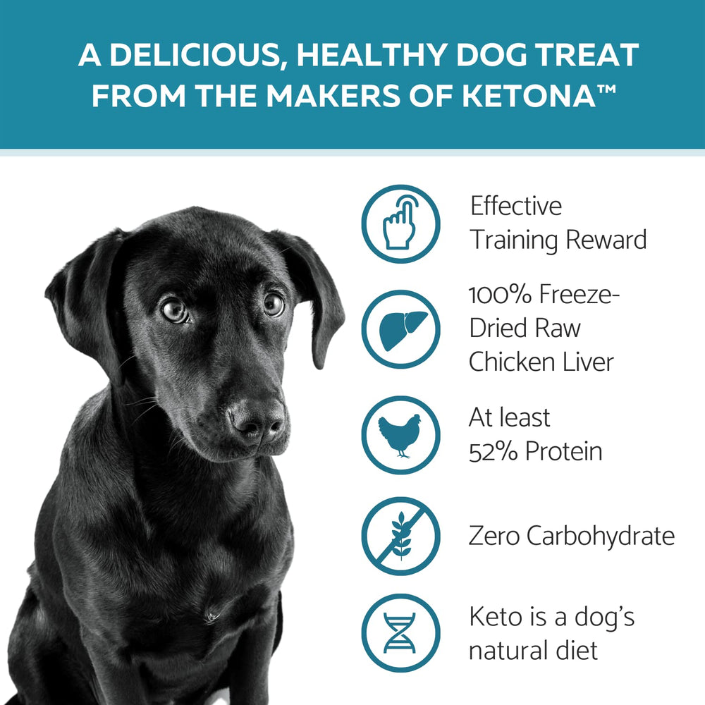 Ketona dog treats close-up of freeze-dried liver highlights single-ingredient nutrition
