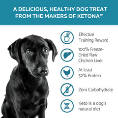Ketona dog treats close-up of freeze-dried liver highlights single-ingredient nutrition